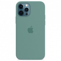 Чехол Silicone Case iPhone 12 / 12 Pro (кактус) 3921