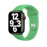 Ремешок Apple Watch 38mm / 40mm / 41mm силикон гладкий (зелёный) 6339 - Ремешок Apple Watch 38mm / 40mm / 41mm силикон гладкий (зелёный) 6339