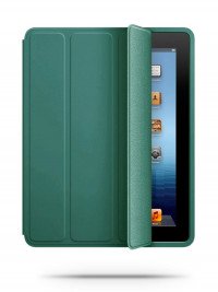 Чехол для iPad 2 / 3 / 4 Smart Case серии Apple кожаный (кактус) 4739