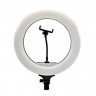 Кольцевая лампа LED DIMMABLE диаметр 32см + крепление + беспроводной пульт (30081) - Кольцевая лампа LED DIMMABLE диаметр 32см + крепление + беспроводной пульт (30081)