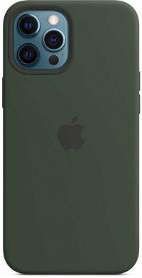 Чехол Silicone Case iPhone 12 Pro Max (сосновый лес) 3826