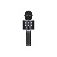 Беспроводной караоке микрофон DS898 (чёрный) 9932