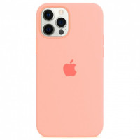 Чехол Silicone Case iPhone 12 Pro Max (персик) 3826