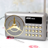 JIOC Радиоприёмник портативный (серо-золотой) 4948 - JIOC Радиоприёмник портативный (серо-золотой) 4948