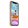 Чехол Silicone Case iPhone 11 (грейпфрут) 3723 - Чехол Silicone Case iPhone 11 (грейпфрут) 3723